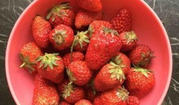 娱乐吃瓜君草莓果酱素颜,娱乐吃瓜君带你揭秘明星真实状态